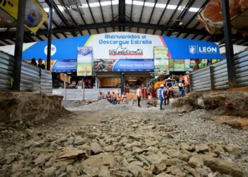 ¿Perteneces a un colectivo de búsqueda? Así opera el programa “León con las Personas Desaparecidas”