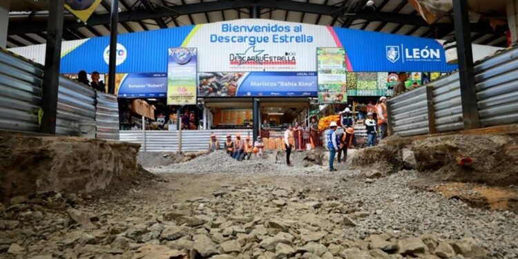 ¿Perteneces a un colectivo de búsqueda? Así opera el programa “León con las Personas Desaparecidas”