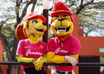 En Guanajuato ya es obligatorio el certificado de no deudor alimentario para ingresar al servicio público