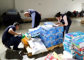 Inicia Operativo Panteones en Guanajuato; ¿cómo puedes contribuir a la estrategia contra el dengue?