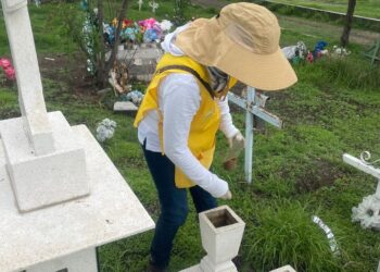 Inicia Operativo Panteones en Guanajuato; ¿cómo puedes contribuir a la estrategia contra el dengue?