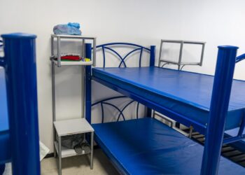 ¿Capacitación en NO CODE e Inteligencia Artificial Generativa? UVEG dará becas a 2 mil mujeres