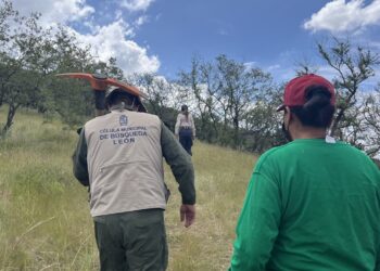 Ante las bajas temperaturas, sigue estas medidas de prevención