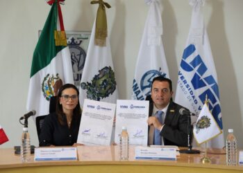 Realizarán en León campaña gratuita de esterilizaciones de perros y gatos; estas son las fechas y sedes