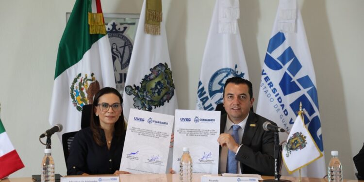 Realizarán en León campaña gratuita de esterilizaciones de perros y gatos; estas son las fechas y sedes