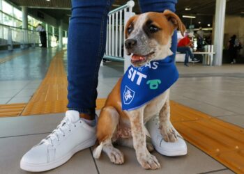 ¿De qué va el Plan de Carreteras Seguras presentado por el Gobierno de Guanajuato?