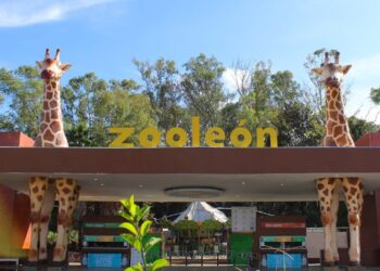 ¿De qué va el Plan de Carreteras Seguras presentado por el Gobierno de Guanajuato?