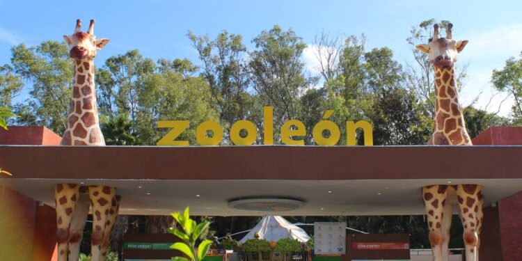 ¿De qué va el Plan de Carreteras Seguras presentado por el Gobierno de Guanajuato?