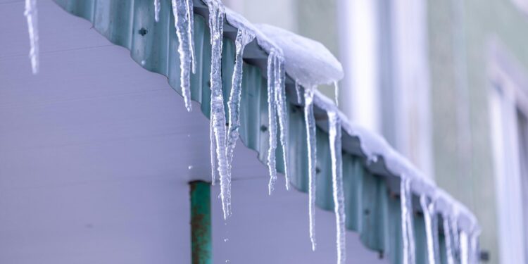 Ante las bajas temperaturas, sigue estas medidas de prevención