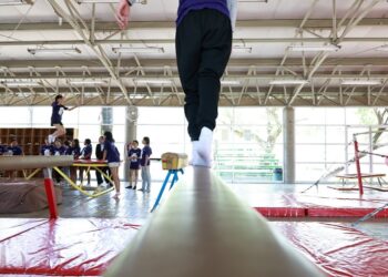 ¡No pierdas tu línea telefónica! Ya inició el registro al Padrón de Telefonía Móvil