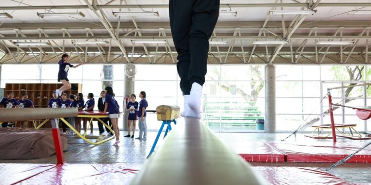 ¡No pierdas tu línea telefónica! Ya inició el registro al Padrón de Telefonía Móvil