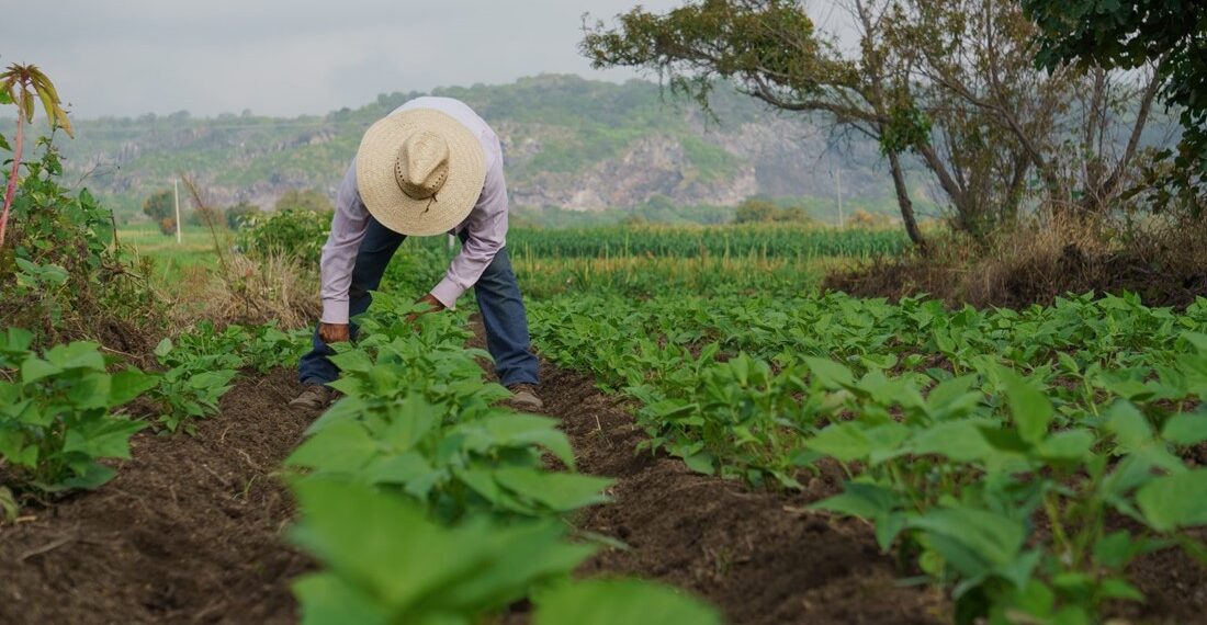 ¿En qué consiste el programa “Oír Bien” del Gobierno de Guanajuato?