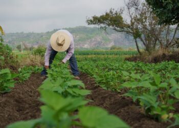 ¿En qué consiste el programa “Oír Bien” del Gobierno de Guanajuato?