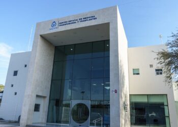 ¿Cómo funcionan las papeleras inteligentes instaladas en el Centro Histórico de León?