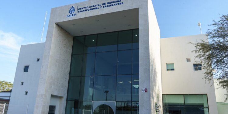 ¿Cómo funcionan las papeleras inteligentes instaladas en el Centro Histórico de León?