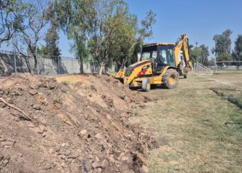 Tarjeta Rosa: estos son los beneficios adicionales en 2026