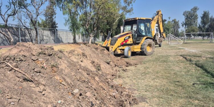 Tarjeta Rosa: estos son los beneficios adicionales en 2026