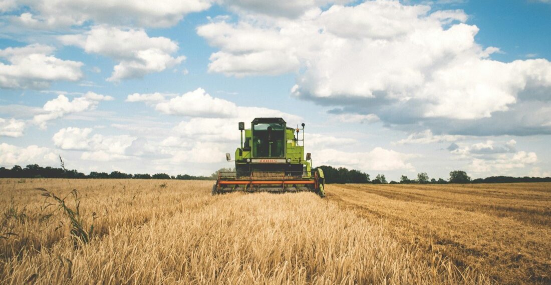 Estos son los financiamientos de Tú Puedes Guanajuato para los productores del campo