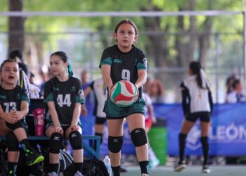 Estos son los cursos gratuitos disponibles en Chamba Módulo Capacitación