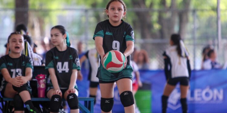 Estos son los cursos gratuitos disponibles en Chamba Módulo Capacitación