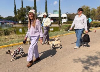 ¡Toma previsiones! Habrá cierres viales por la Carrera Atlética de los Barrios en León