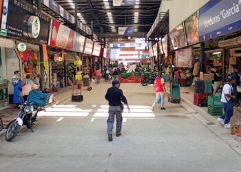 ¿Resides en Guanajuato capital? Así puedes tramitar tus TAGs para la autopista a Silao