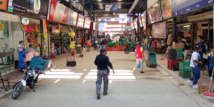 ¿Resides en Guanajuato capital? Así puedes tramitar tus TAGs para la autopista a Silao