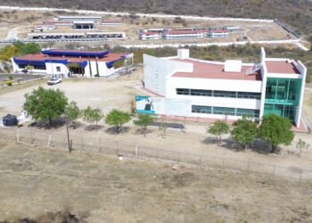 UTL abre nueva Ingeniería en Agricultura Sustentable y Protegida; ¿cuándo inicia y cómo puedes ingresar?