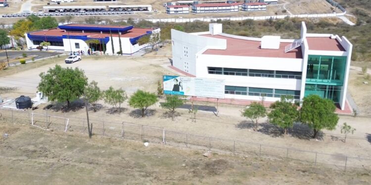 UTL abre nueva Ingeniería en Agricultura Sustentable y Protegida; ¿cuándo inicia y cómo puedes ingresar?