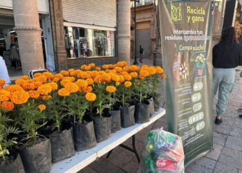 Recicla tus residuos y recibe flores de cempasúchil en León; te decimos cómo participar